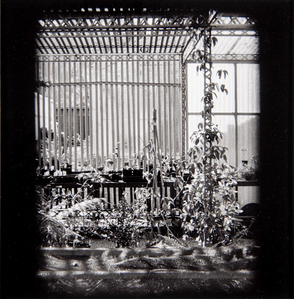 Potting Shed, Berkeley, unframed edition #2 by Charles Marie Reilly