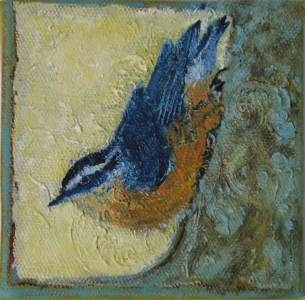 nuthatch by kimberly stemler