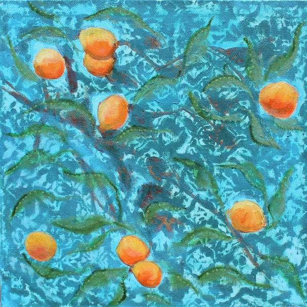 persimmons by kimberly stemler