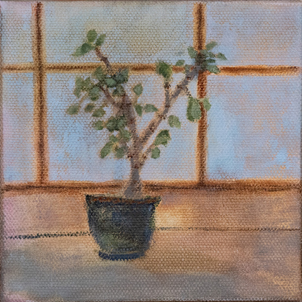 poppop's jade by kimberly stemler