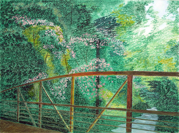 The Bridge and the Mimosa Tree by Ani Todd