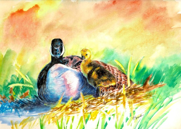 Growing Up Gosling by Pat Konicki