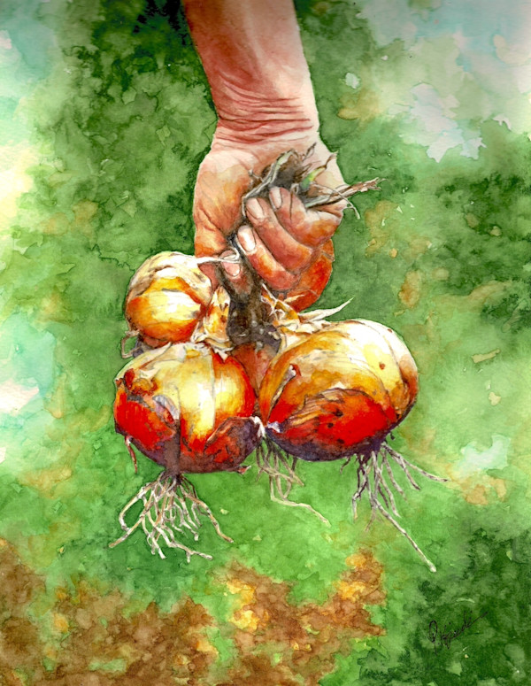 Ripe & Ready by Pat Konicki