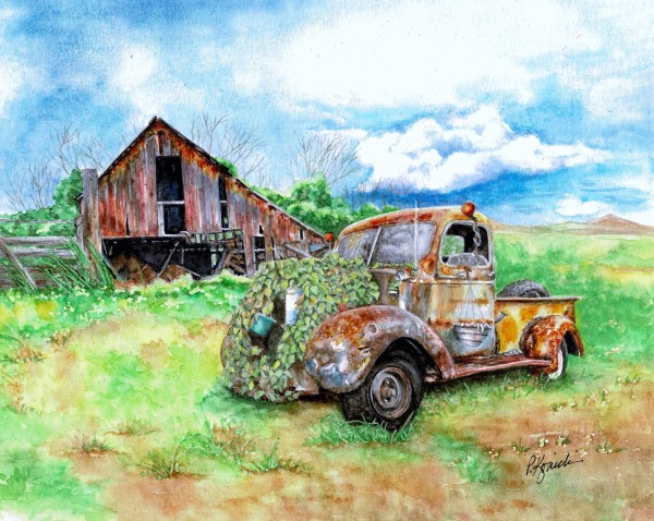 Planted by Pat Konicki