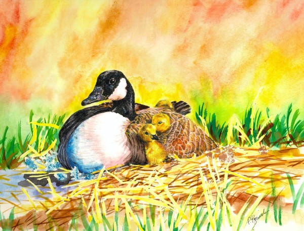 Safe Haven by Pat Konicki