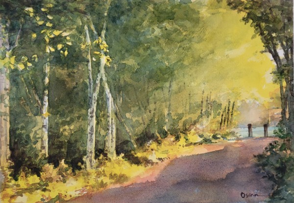 A Burst of Late Sun by Rick Osann Art