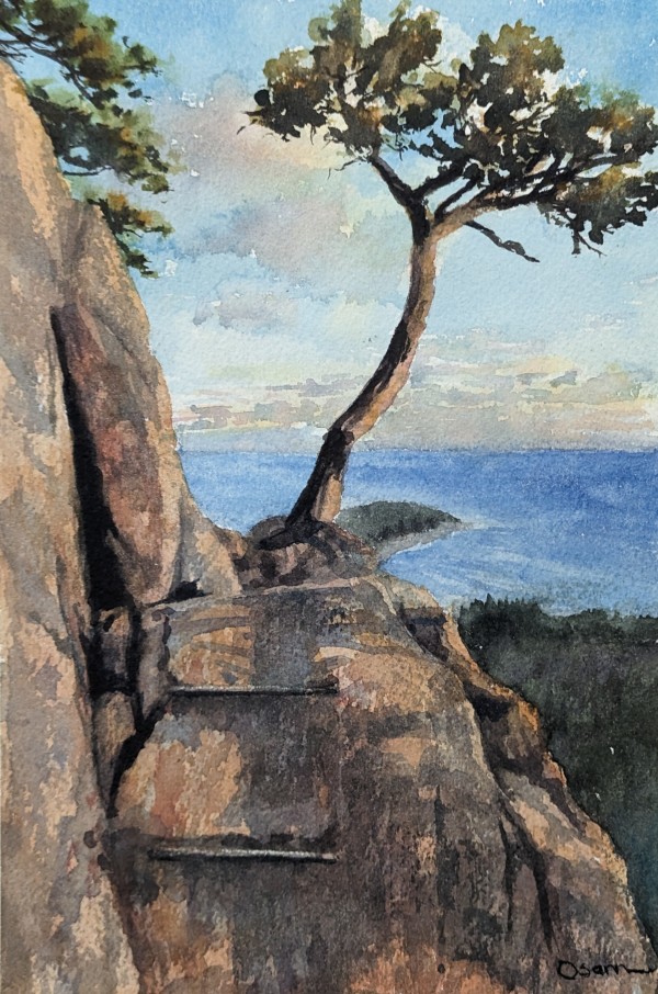 Beehive Sunset by Rick Osann Art