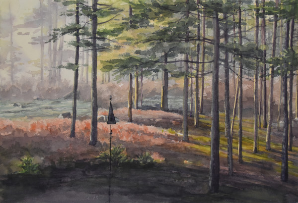 Morning Light by Rick Osann Art