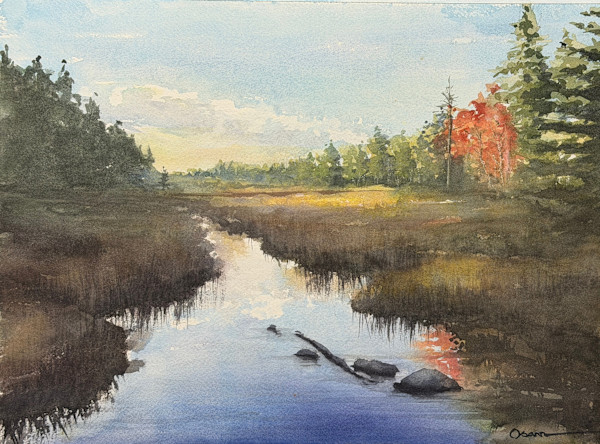 Duck Brook Autumn by Rick Osann Art