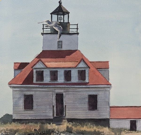 Egg Rock with Gull by Rick Osann Art