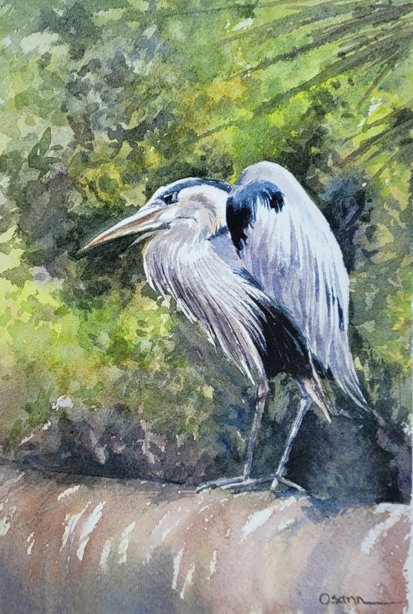 Great Blue by Rick Osann Art