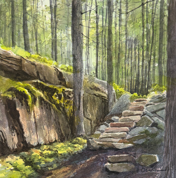 Cliffside Steps by Rick Osann Art