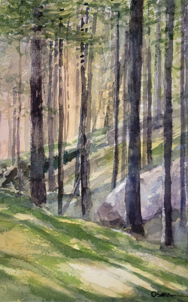 Light in the Woods by Rick Osann Art