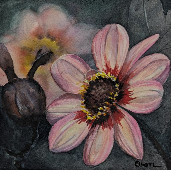 Anemone #1 by Rick Osann Art