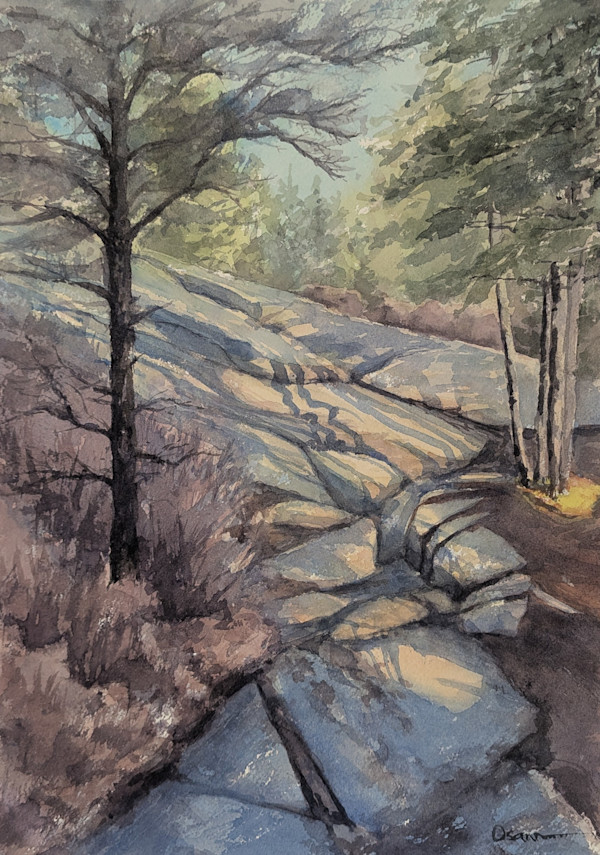 Shadows Across the Trail by Rick Osann Art