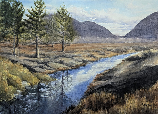 Great Meadow Reflection by Rick Osann Art