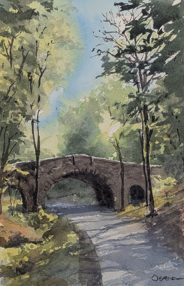 Summer Sun over Stanley Brook by Rick Osann Art