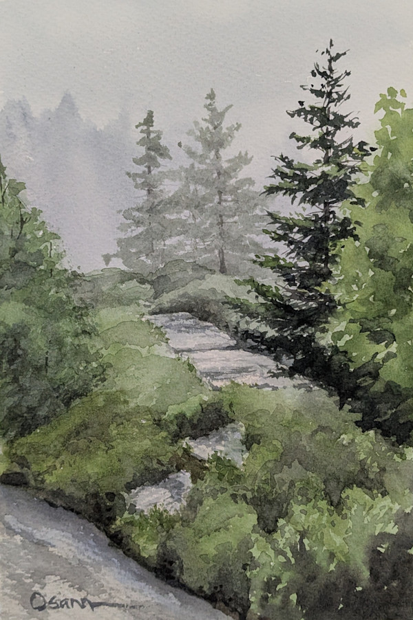 Fog on the Trail by Rick Osann Art