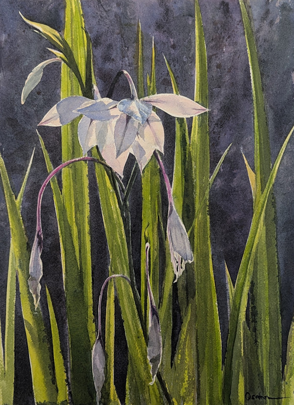 Sword Lilies by Rick Osann Art