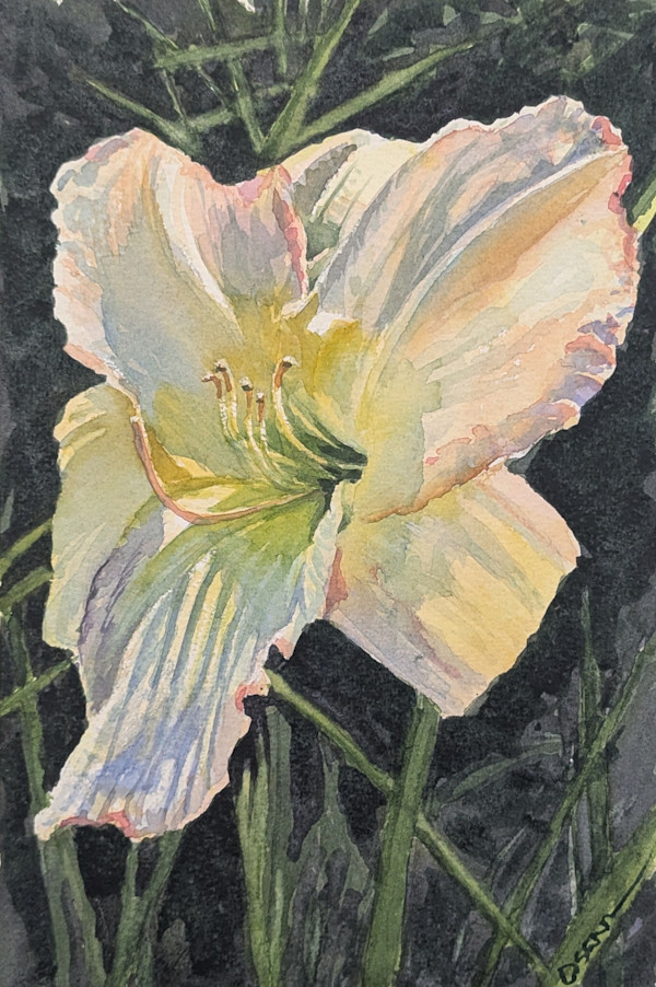Lily in the Sun by Rick Osann Art