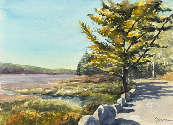 Shadows Across the Carriage Road by Rick Osann Art