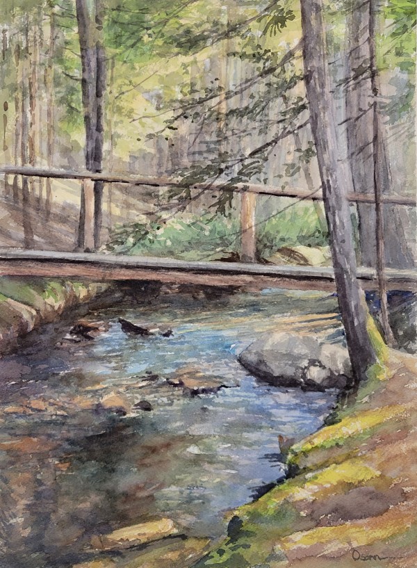Walking Bridge by Rick Osann Art