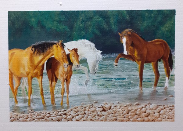 Wild horses by Andrea Barlow