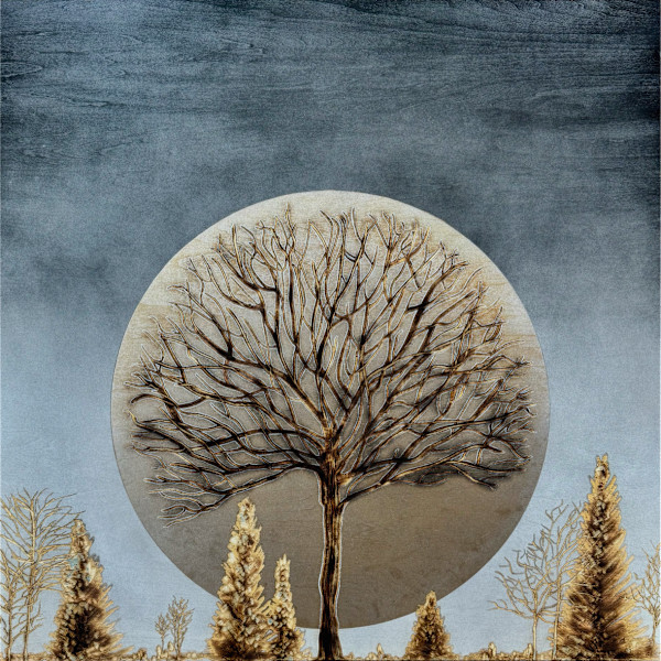Rooted Reset (26.1) by Cie Hoover, Image 1.