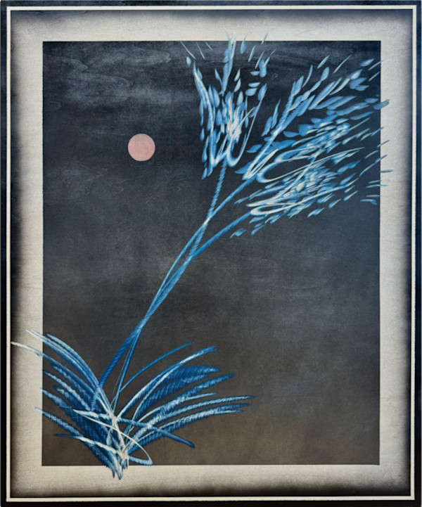 Bloom (26.8) by Cie Hoover, Image 1.
