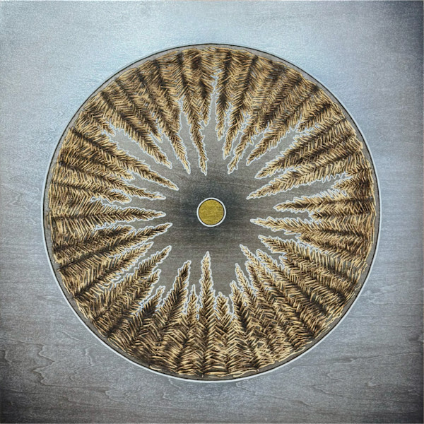 Canopy (26.1) by Cie Hoover, Image 4.