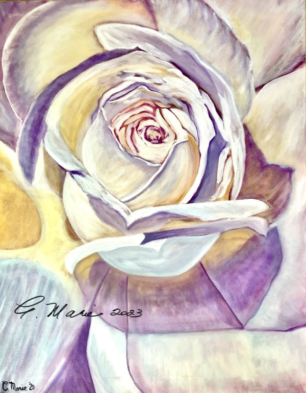White Rose by Constance Marie