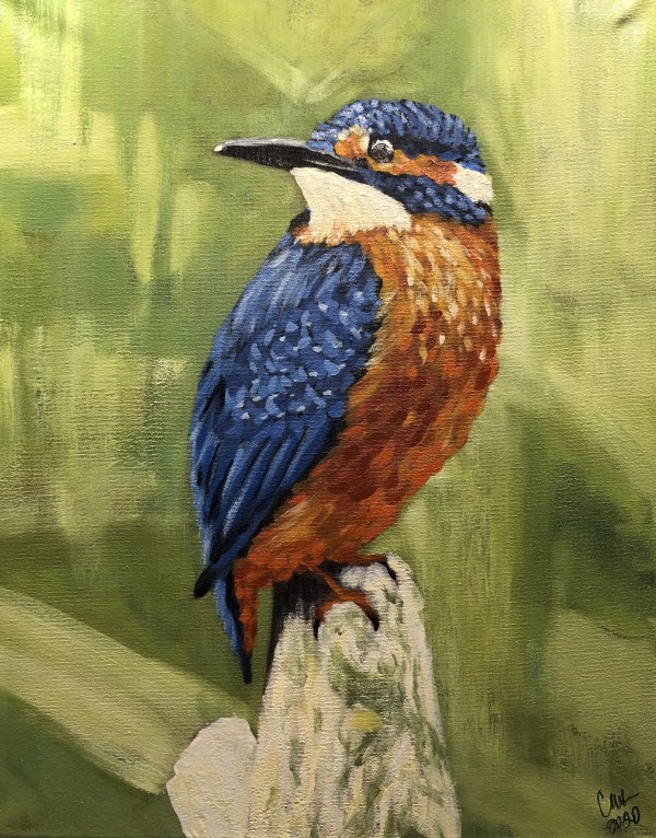 The Kingfisher by Constance Marie