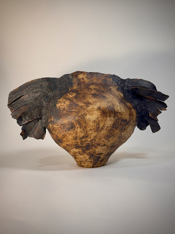 Daedalus by Jennifer K Brown