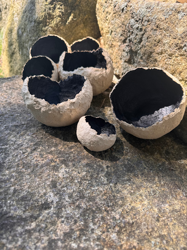 Dragonshell Vessels by Jennifer K Brown