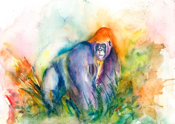 Gorilla in the wild by URVAAA