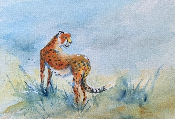 Cheetah by URVAAA