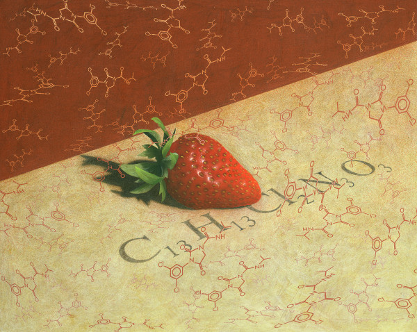 Fragola Amara (Bitter Strawberry) by Carlo Marcucci