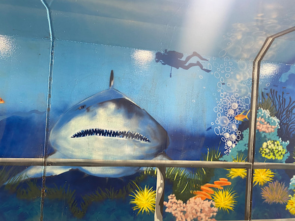 ‘Aquavale’ by Mike "Shime Arts" Barker