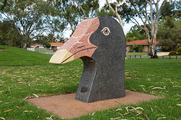 Up Close and Personal, Dusky Moorehen (2 of 5) by Jahne Rees