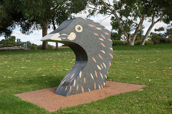 Up Close and Personal, Australasian Grebe (3 of 5) by Jahne Rees