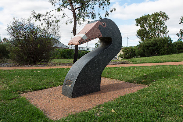 Up Close and Personal, Black Swan (1 of 5) by Jahne Rees