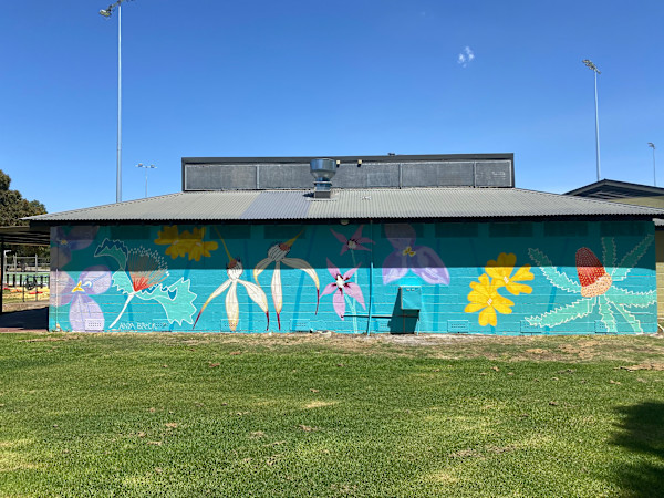 Belmont Natives by Anya Brock