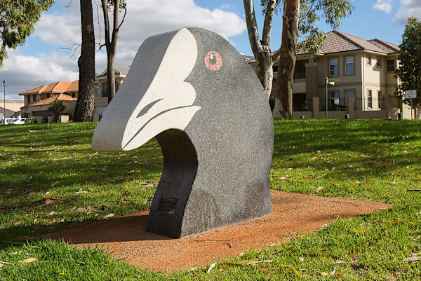 Up Close and Personal, Eurasian Coote (4 of 5) by Jahne Rees