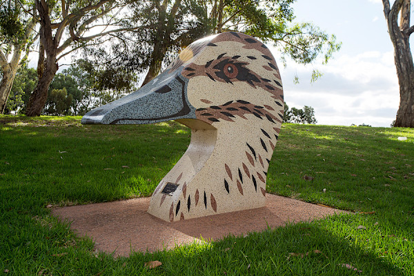 Up Close and Personal, Pacific Black Duck (5 of 5) by Jahne Rees
