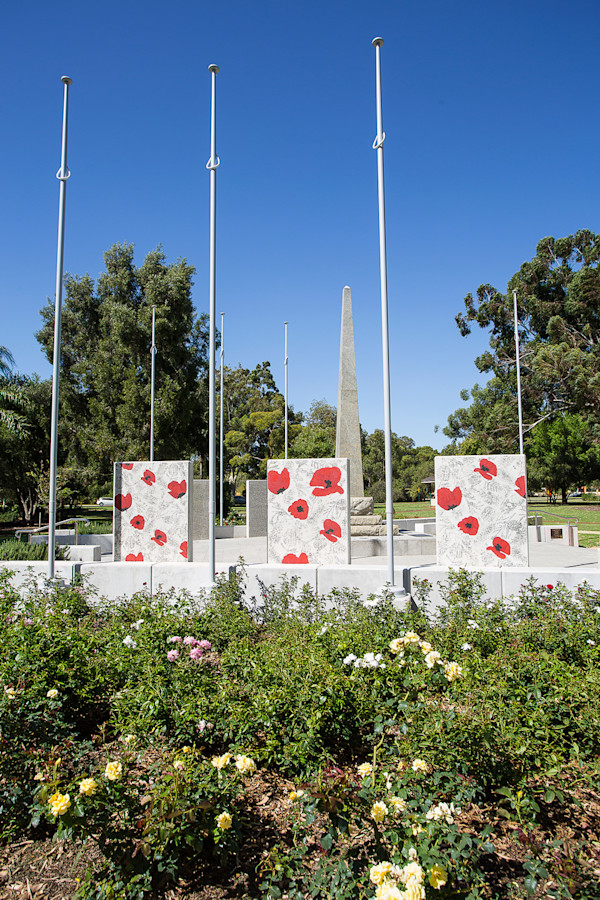 Remembrance Floral by Margaret Dillon