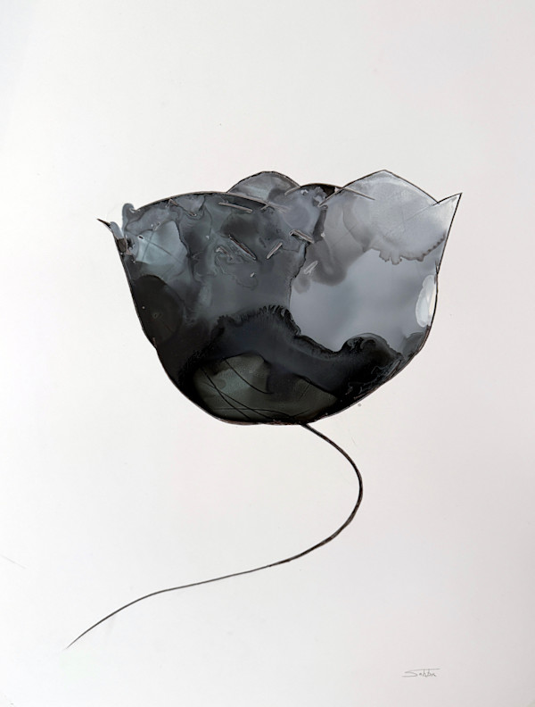 Obsidian by Sahba Shere