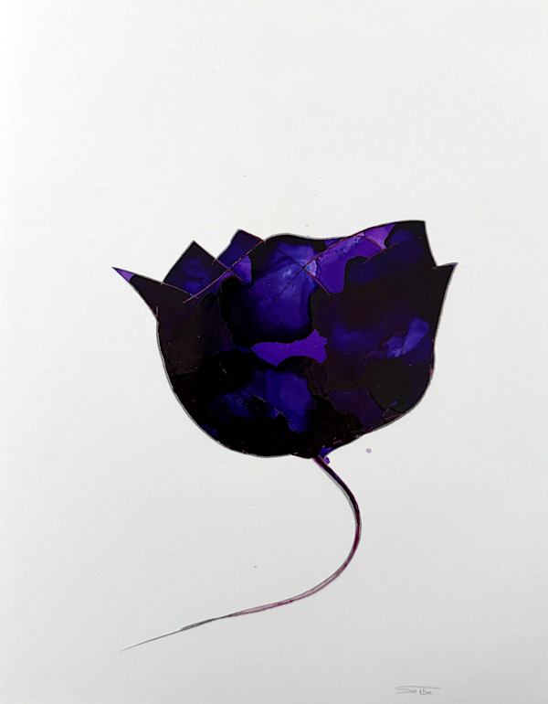Cassis by Sahba Shere
