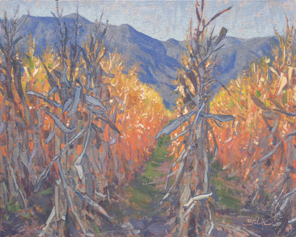 "After the Harvest" by Dan Schultz