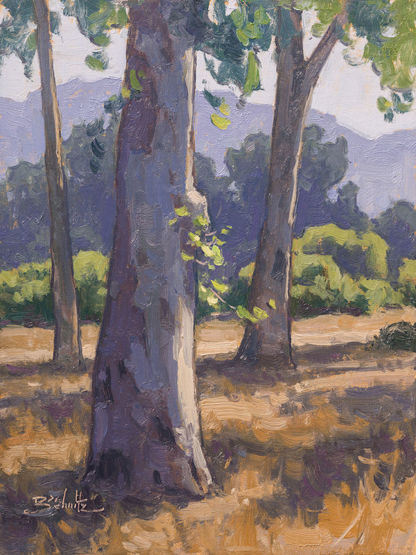"Beneath the Eucalyptus" by Dan Schultz