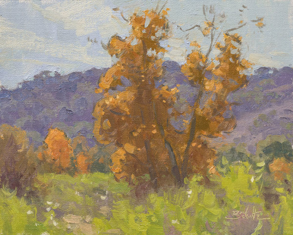 "California Autumn" by Dan Schultz